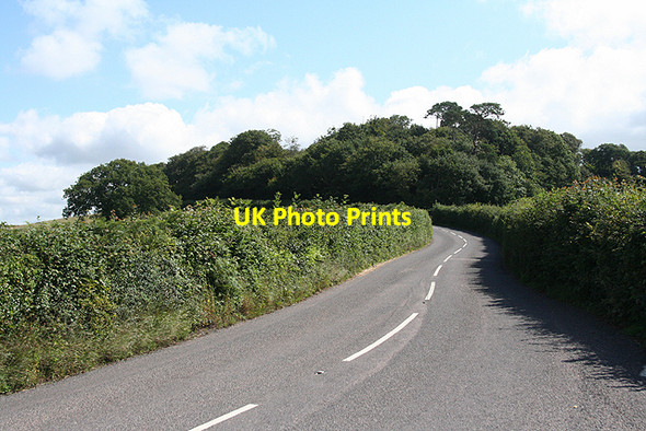 Photo 6"x4" Dunsford: the road to Longdown Longdown\/SX8691 c2009