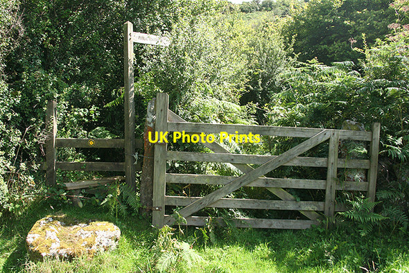 Photo 6"x4" Moretonhampstead: stile and gate Doccombe c2009