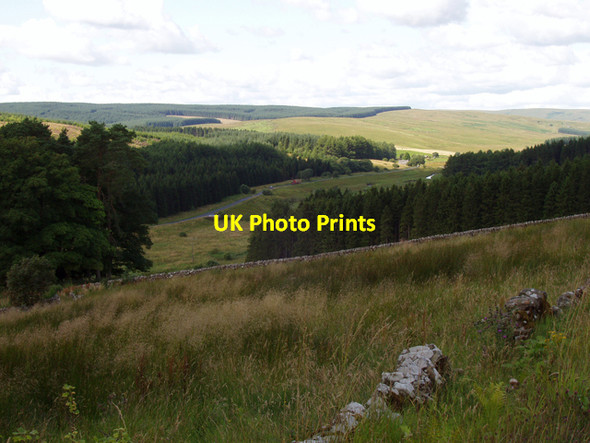 Photo 6"x4" North Tyne valley above Kielder Water Kielder c2009