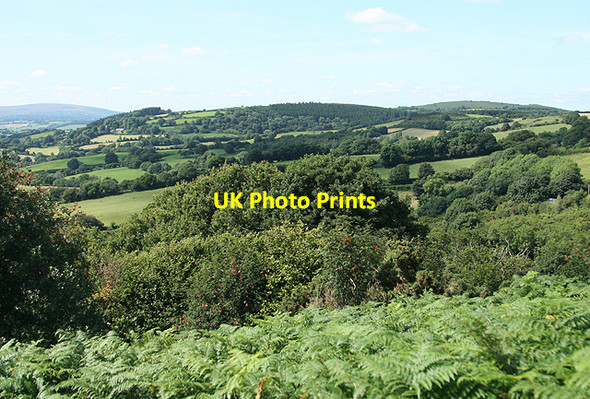 Photo 6"x4" Moretonhampstead: towards Holcombe Doccombe c2009