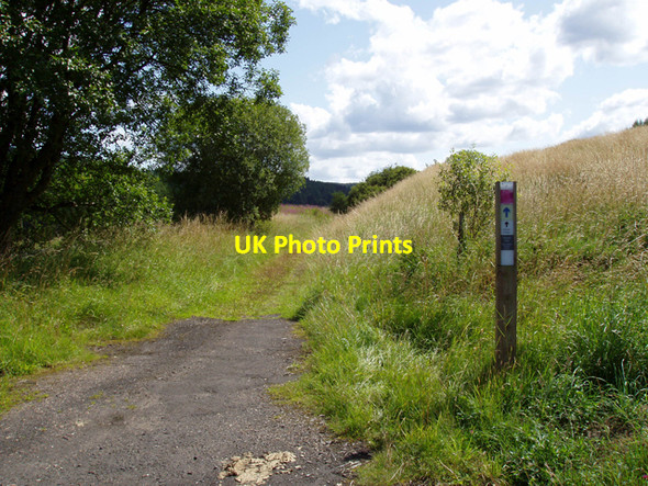 Photo 6"x4" Footpath at Bells Burn Kielder c2009