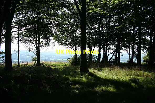 Photo 6"x4" Moretonhampstead: on Pepperdon Down 3 Doccombe c2009