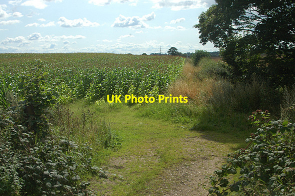 Photo 6"x4" Not quite as 'high as an Elephants eye' Hordley c2009