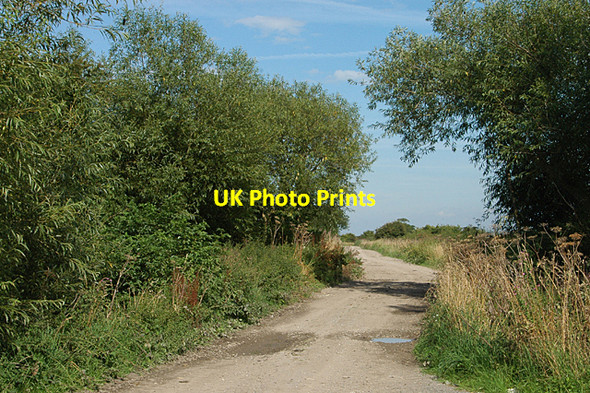 Photo 6"x4" Unknown track off NCR 5 Ince c2009