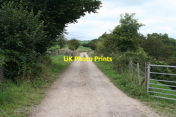 Photo 6"x4" Wellow: near Rainbow Wood Midford c2009