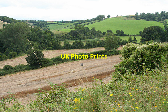 Photo 6"x4" Wellow: near Twinhoeford Wood Midford c2009