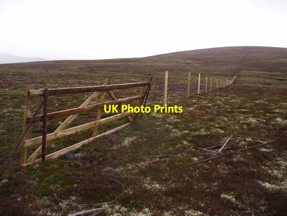 Photo 6"x4" Gate in march fence Lynwilg c2009