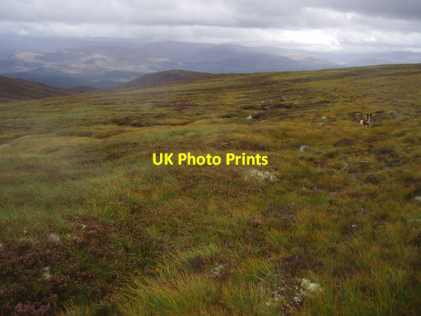 Photo 6"x4" Line of old track Lynwilg c2009