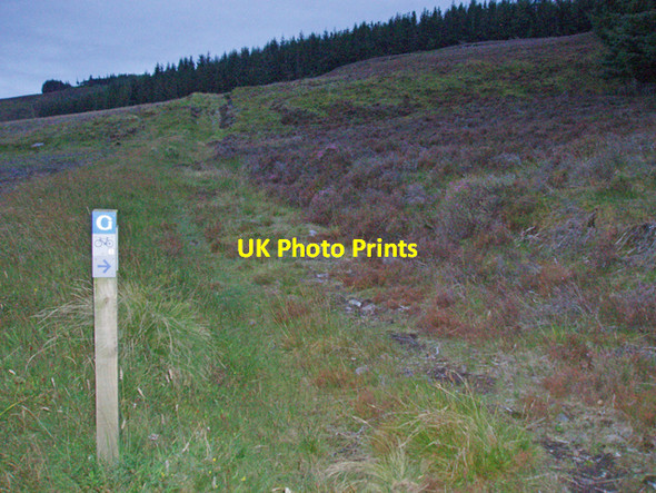 Photo 6"x4" Waymarker on Glenlivet Estate track Glenlivet c2009