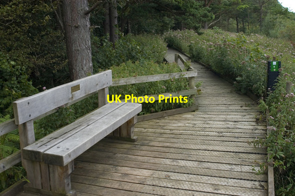 Photo 6"x4" Boardwalk around Hawes Water Waterslack c2009
