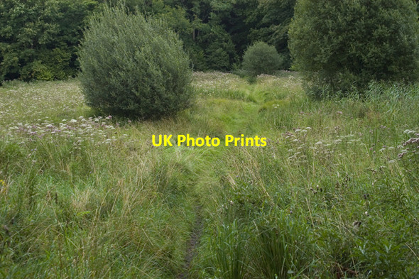 Photo 6"x4" Footpath Near Hawes Water Waterslack c2009