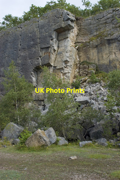 Photo 6"x4" Main Wall, Trowbarrow Quarry Red Bridge c2009