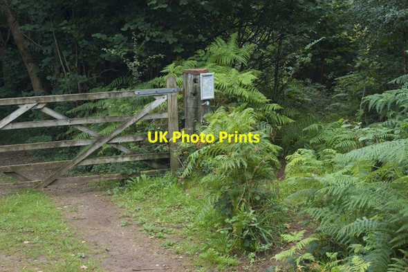 Photo 6"x4" Permissive footpath junction, Yealand Hall Allotment Waterslack c2009