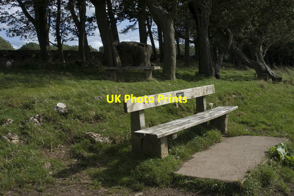 Photo 6"x4" Commemorative seat above Leighton Hall Yealand Conyers c2009