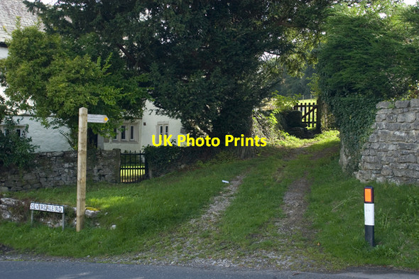 Photo 6"x4" Footpath into Cringlebarrow Woods Yealand Redmayne c2009