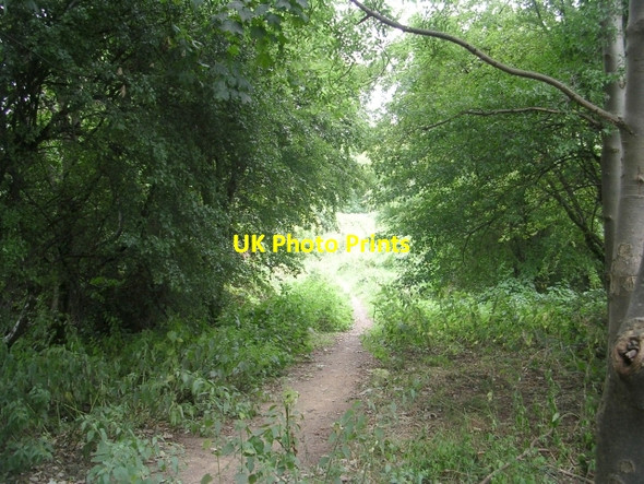 Photo 6"x4" Railway cutting - South Parade Pudsey\/SE2233 c2009