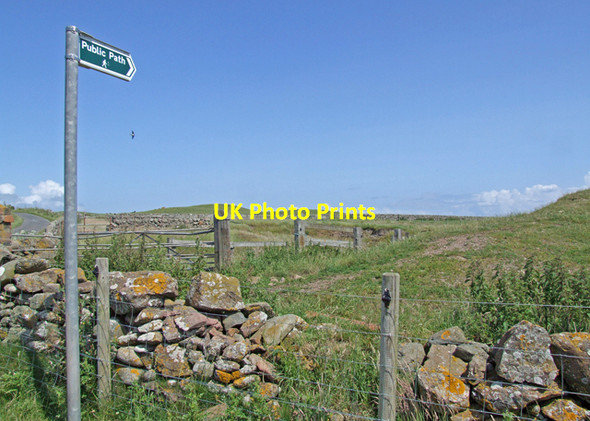 Photo 6"x4" Isthmus path Mull of Galloway Fm c2009