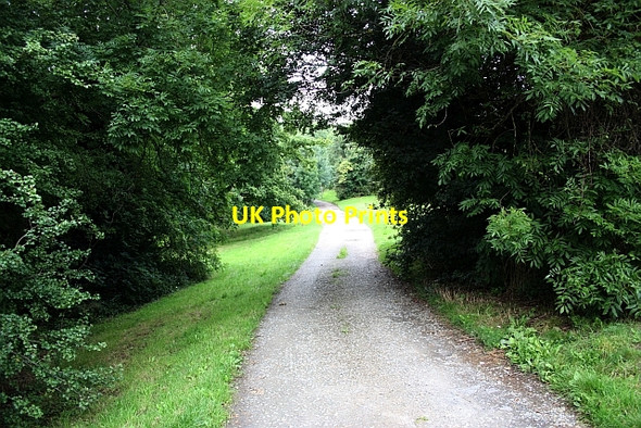 Photo 6"x4" Track over Malvern Link Common Great Malvern c2009
