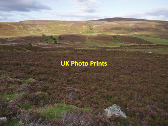 Photo 6"x4" Moorland north of Auchnagallin Huntley's Cave c2009