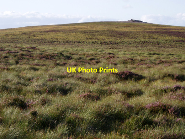 Photo 6"x4" Carn Bad a' Ghad Carn Bad a' Ghad c2009