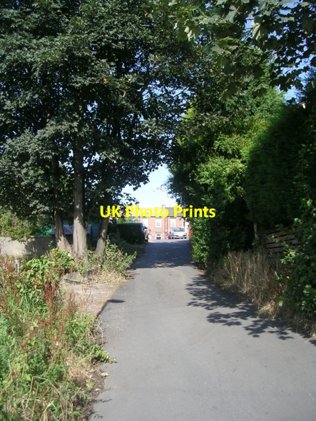 Photo 6"x4" Alexandra Avenue - off Leeds Road Batley c2009