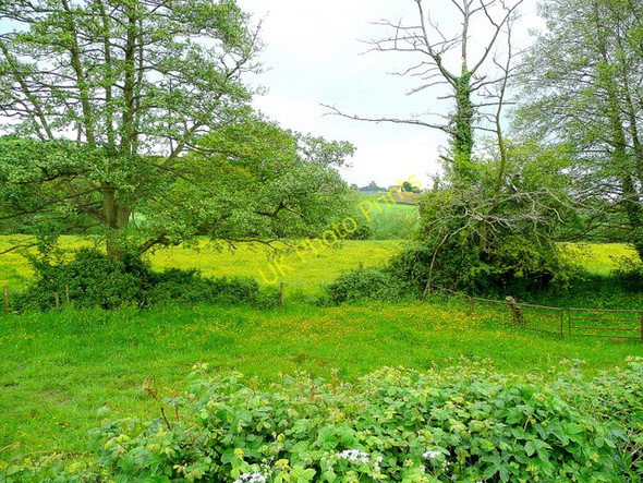 Photo 6"x4" Monnow meadows Monmouth\/Trefynwy c2009