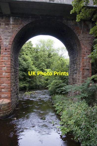 Photo 6"x4" Water of Leith, Colinton Dell Bonaly c2009
