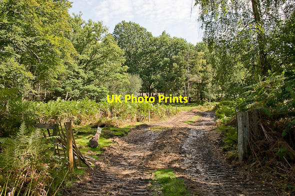 Photo 6"x4" Warwickslade Cutting: contractors access track Bank\/SU2807 c2009