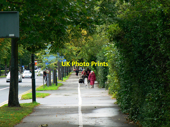 Photo 6"x4" Lansdown Road to the west, Cheltenham Cheltenham c2009 P1