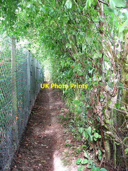 Photo 6"x4" Footpath to the orchard Rhode Common c2009