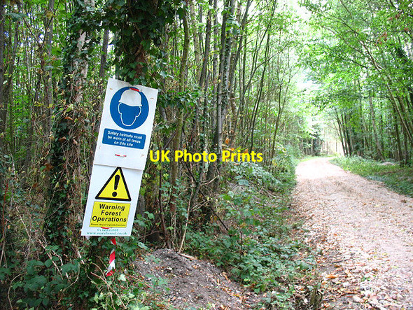 Photo 6"x4" Warning - forest operations Rhode Common c2009
