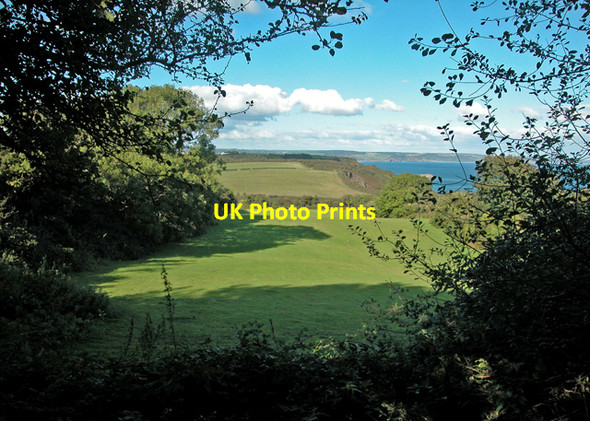 Photo 6"x4" Pembrokeshire coast path Tenby\/Dinbych-y-pysgod c2005 P1
