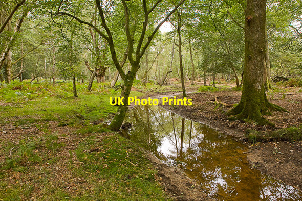 Photo 6"x4" Warwickslade Cutting: new stream bed Bank\/SU2807 c2009
