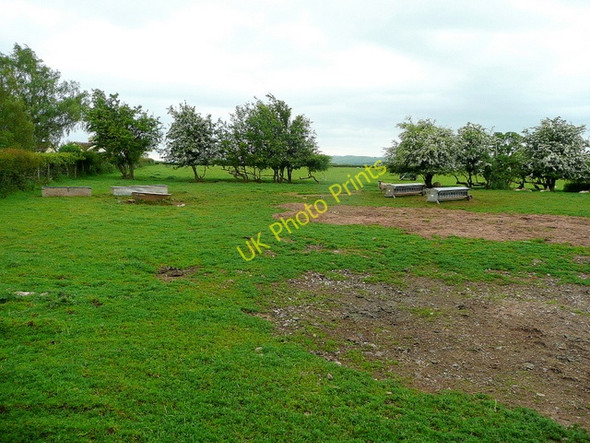 Photo 6"x4" Sheep pasture Llangattock-Vibon-Avel c2009