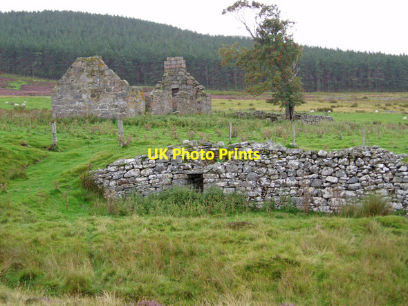 Photo 6"x4" Ruins of Craggan Farm Cromdale c2009