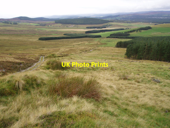 Photo 6"x4" Moorland south of Claggersnich Wood Cromdale c2009