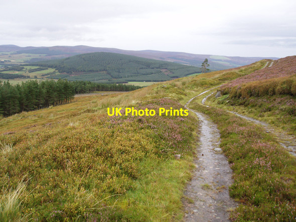 Photo 6"x4" Track east of Claggersnich Wood Cromdale c2009