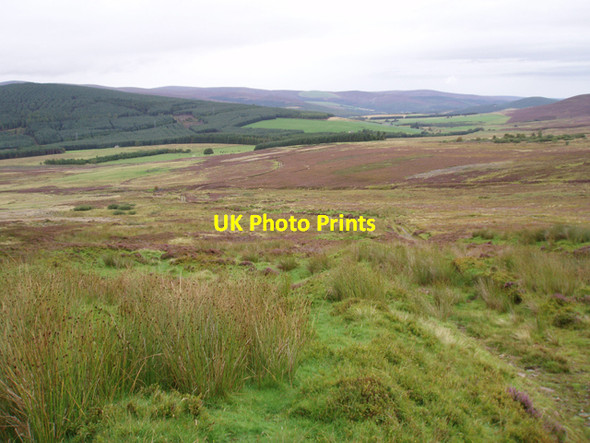 Photo 6"x4" Moorland NE of Claggersnich Wood Cromdale c2009