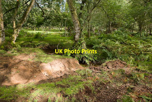 Photo 6"x4" Warwickslade Cutting: new stream takes shape Bank\/SU2807 c2009