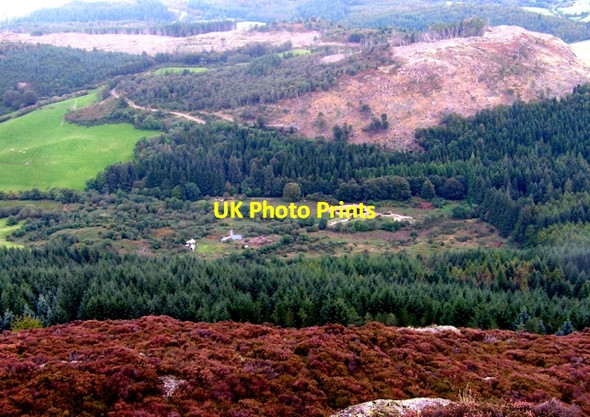 Photo 6"x4" Taliesin from Screel Gelston\/NX7658 c2009
