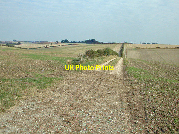 Photo 6"x4" Winter Wheat near Barton Hill Farm Barton-Upon-Humber c2009