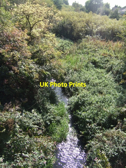 Photo 6"x4" River Trent downstream of Leek Road Milton\/SJ9050 c2009