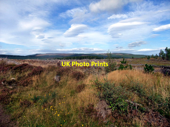 Photo 6"x4" Towards the Drovers Way Hartmount c2009