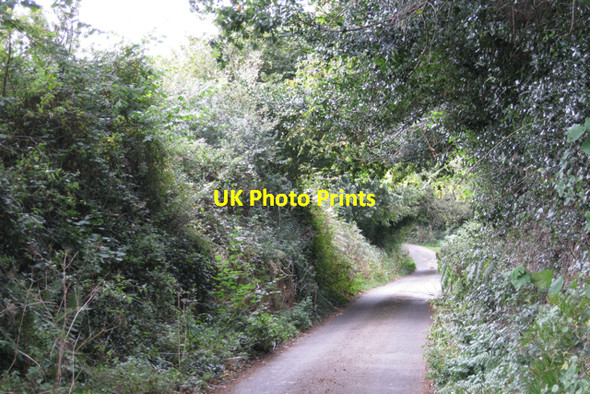 Photo 6"x4" Hedgebank, Shutterton Lane Cofton c2009