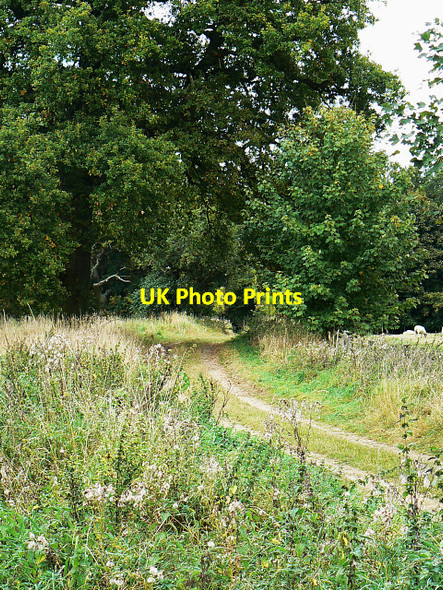 Photo 6"x4" Byway, near Finstock Fawler\/SP3717 c2009