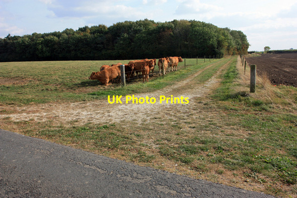 Photo 6"x4" Track to Decoy Wood Aike c2009