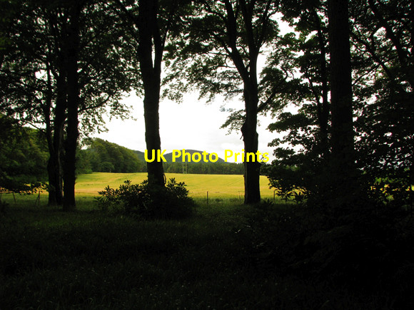 Photo 6"x4" Barley field, Seafield Estate Cullen Cullen\/NJ5167 c2009