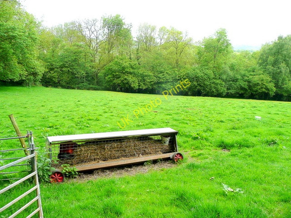 Photo 6"x4" Pasture by Dreinos Wood Crossway\/SO4419 c2009