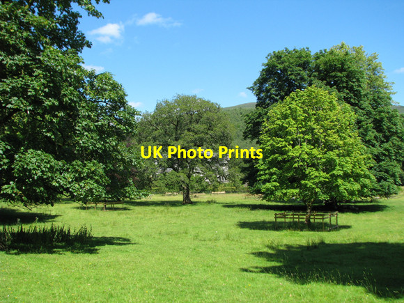 Photo 6"x4" Parkland in front of Achnacarry House Achnacarry c2009
