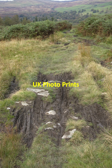 Photo 6"x4" Eroded path near Millrigg Knott Grassgarth\/SD4499 c2009